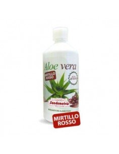 1L Aloe Vera con Mirtillo Rosso Sandemetrio